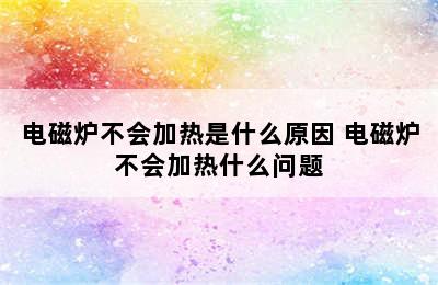 电磁炉不会加热是什么原因 电磁炉不会加热什么问题